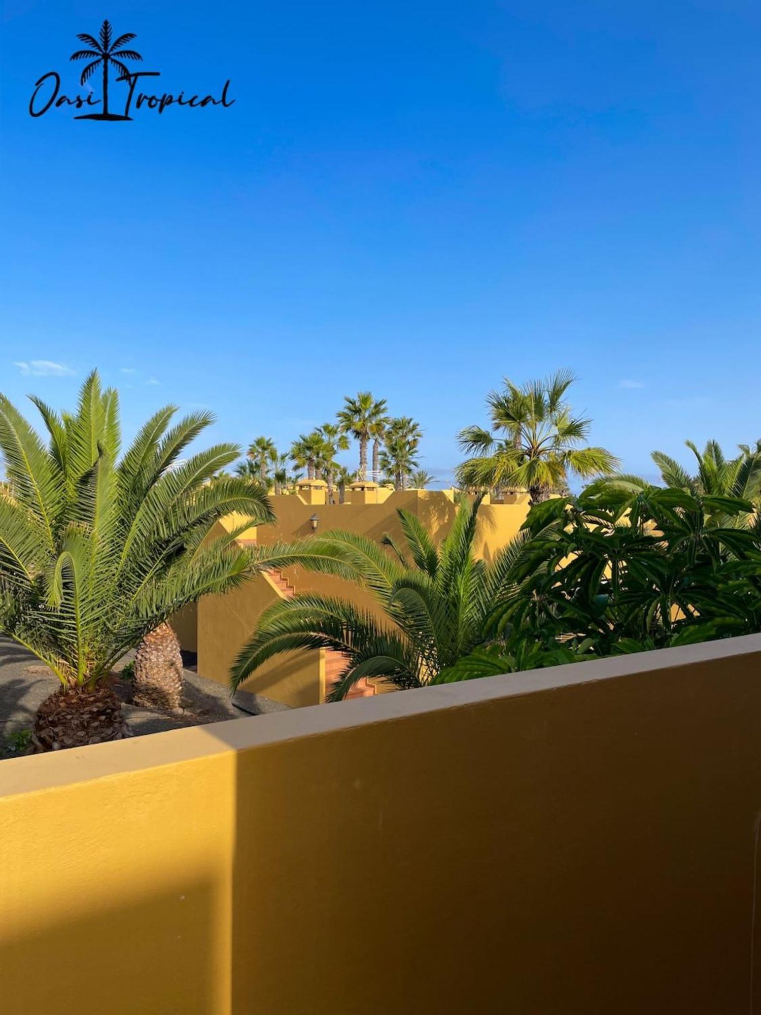 Oasi Tropical Wifi Free By Rentalfue Corralejo Exterior photo