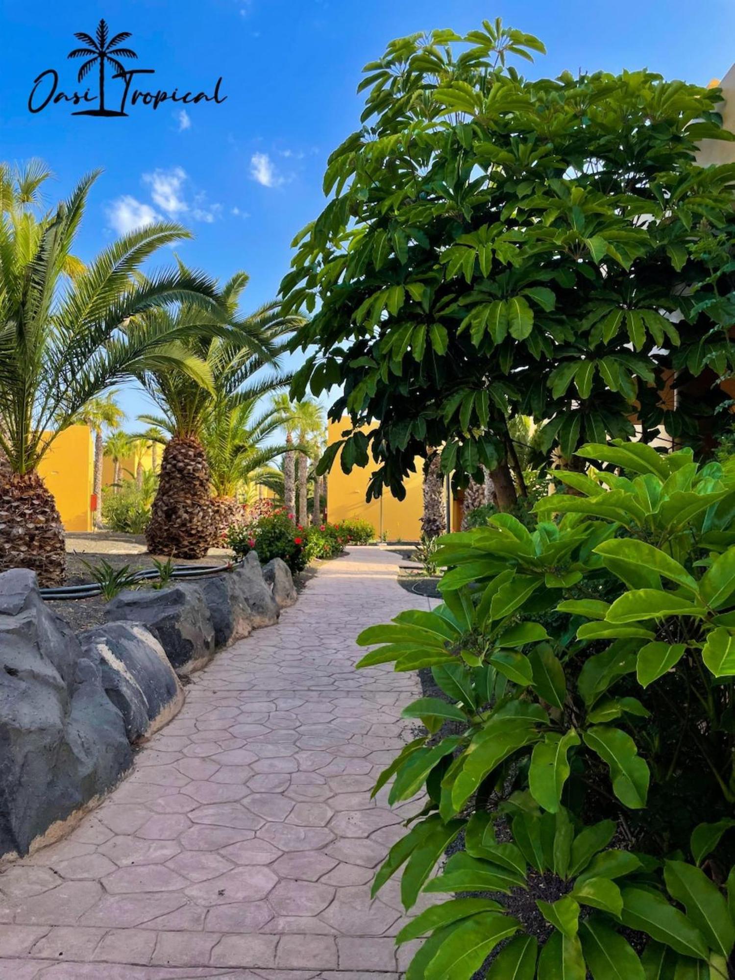 Oasi Tropical Wifi Free By Rentalfue Corralejo Exterior photo