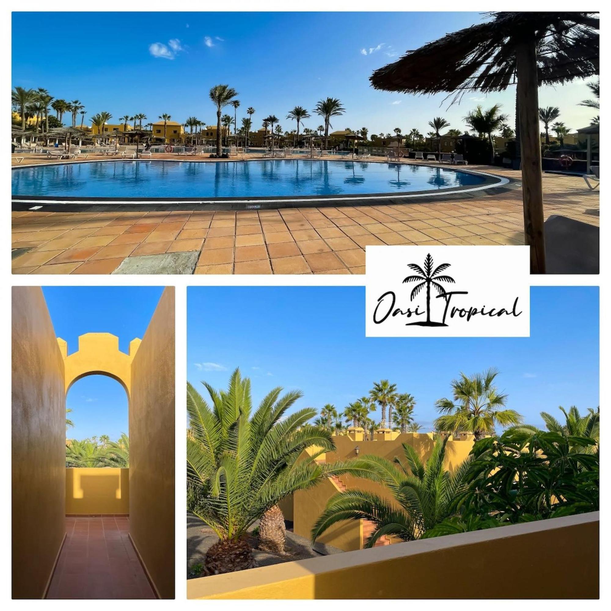 Oasi Tropical Wifi Free By Rentalfue Corralejo Exterior photo